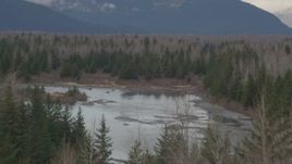 4K aerial stock footage lying over a tree line, revealing a river in the valley, Portage, Alaska Aerial Stock Footage | AK0001_0511