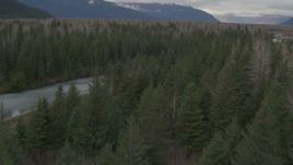 4K aerial stock footage flying low over a river cutting through the forest, Portage, Alaska Aerial Stock Footage | AK0001_0512