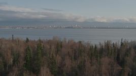 4K aerial stock footage fly low over grassland, trees reveal Downtown Anchorage, Point MacKenzie, Alaska Aerial Stock Footage | AK0001_0597