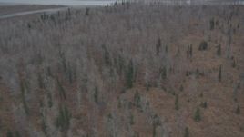 4K aerial stock footage flying over trees, away from the Knik River, Alaska Aerial Stock Footage | AK0001_0618