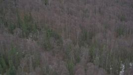 4K aerial stock footage flying over wooded foothills, revealing snow-capped Chugach Mountains, Alaska Aerial Stock Footage | AK0001_0645