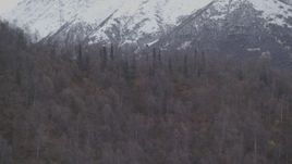 4K aerial stock footage flying by wooded slopes by snow-covered Chugach Mountains, Alaska Aerial Stock Footage | AK0001_0648