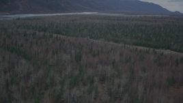 4K aerial stock footage flying over forest, approach and reveal river, during winter, Butte, Alaska Aerial Stock Footage | AK0001_0695