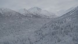 4K aerial stock footage flying by frosty wooded valley, snow-covered Chugach Mountains, Alaska Aerial Stock Footage | AK0001_0754