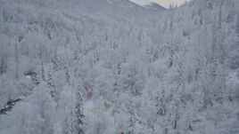 4K aerial stock footage fly low over snow-covered trees, reveal river, Chugach Mountains, Alaska Aerial Stock Footage | AK0001_0762