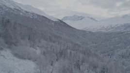 4K aerial stock footage flying up slope from forested valley, winter, Chugach Mountains, Alaska Aerial Stock Footage | AK0001_0763