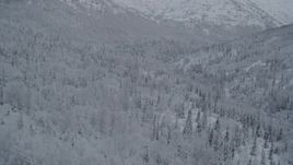 4K aerial stock footage flying over wooded slopes, winter, Chugach Mountains, Alaska Aerial Stock Footage | AK0001_0765