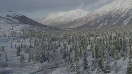 4K aerial stock footage fly by a snow forest, snow-covered Chugach Mountains, Alaska Aerial Stock Footage | AK0001_0804