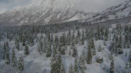 4K aerial stock footage flying over forested valley, snow-covered Chugach Mountains, Alaska Aerial Stock Footage | AK0001_0810