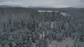 4K aerial stock footage flying over snow covered forest during winter toward center of Bench Lake, Alaska Aerial Stock Footage | AK0001_0869