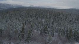 4K aerial stock footage approach forested shoreline, snow-capped distant mountains, Bench Lake, Alaska Aerial Stock Footage | AK0001_0870