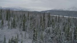 4K aerial stock footage flying over snow covered forest during winter, Matanuska River Valley, Alaska Aerial Stock Footage | AK0001_0871