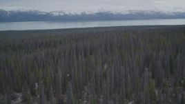 4K aerial stock footage flying over forest toward snow-covered Chugach Mountains, Tazlina Lake, Alaska Aerial Stock Footage | AK0001_0909