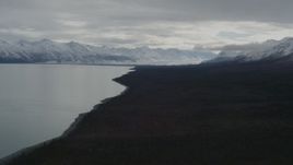 4K aerial stock footage flying along wooded shoreline toward snowy mountains, during winter, Tazlina Lake, Alaska Aerial Stock Footage | AK0001_0911