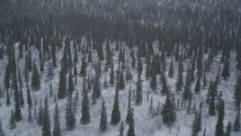 4K aerial stock footage flying over snow-covered wooded hills, Alaskan Wilderness Aerial Stock Footage | AK0001_0968