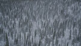 4K aerial stock footage flying over snow-covered forests and wooded hills, Alaskan Wilderness Aerial Stock Footage | AK0001_0969