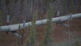 4K aerial stock footage a close-up view of the pipeline through trees during winter, Trans-Alaska Pipeline, Alaska Aerial Stock Footage | AK0001_0995