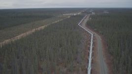 4K aerial stock footage pan across and fly over pipeline through forest during winter, Trans-Alaska Pipeline, Alaska Aerial Stock Footage | AK0001_1000