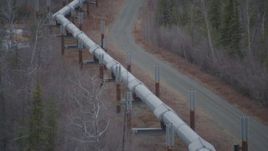 4K aerial stock footage following pipeline through forest during winter, Trans-Alaska Pipeline, Alaska Aerial Stock Footage | AK0001_1004