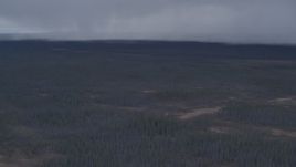 4K aerial stock footage tilt from evergreen forest to reveal rain clouds, Alaskan Wilderness Aerial Stock Footage | AK0001_1016