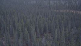 4K aerial stock footage flying away from trees in the Alaskan Wilderness Aerial Stock Footage | AK0001_1037