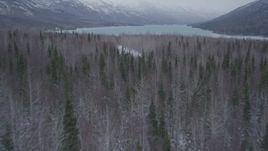 4K aerial stock footage descending toward snow covered tree line, flying toward Eklutna Lake, Alaska Aerial Stock Footage | AK0001_1183