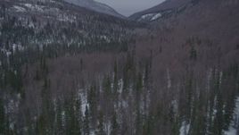 4K aerial stock footage video flying low over wooded hills in the snow covered Chugach Mountains, Alaska Aerial Stock Footage | AK0001_1190