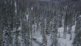 4K aerial stock footage flying low over snow covered forests revealing a river, Chugach Mountains, Alaska Aerial Stock Footage | AK0001_1192
