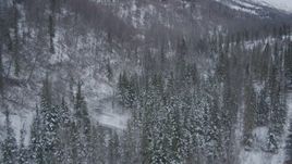 4K aerial stock footage flying low over river through snow covered forest, Chugach Mountains, Alaska Aerial Stock Footage | AK0001_1202