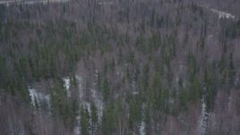 4K aerial stock footage flying over snow covered forest in the Knik River Valley, Alaska Aerial Stock Footage | AK0001_1222