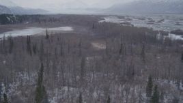 4K aerial stock footage flying over snow covered forest toward frozen lake, Knik River Valley, Alaska Aerial Stock Footage | AK0001_1223