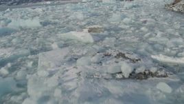 4K aerial stock footage flying low over pieces of ice on Inner Lake George, Alaska in snow Aerial Stock Footage | AK0001_1458