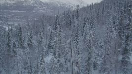 4K aerial stock footage over snowy, wooded slopes toward Eagle River Valley, Chugach Mountains, Alaska Aerial Stock Footage | AK0001_1534