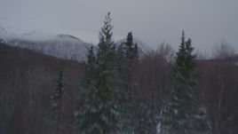 4K aerial stock footage flying over snow covered, forested summit, Chugach Mountains, Alaska Aerial Stock Footage | AK0001_1614