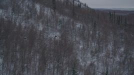 4K aerial stock footage flying over snow covered, wooded hills in Chugach Mountains, Alaska Aerial Stock Footage | AK0001_1621