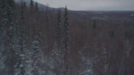 4K aerial stock footage snow covered, wooded slopes in the Chugach Mountains, Alaska Aerial Stock Footage | AK0001_1622