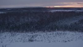 4K aerial stock footage flying over snow covered forest on Point MacKenzie at sunset, Alaska Aerial Stock Footage | AK0001_1670