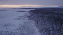 4K aerial stock footage flying over frozen, snowy ground, two moose at twilight, Point MacKenzie, Alaska Aerial Stock Footage | AK0001_1696