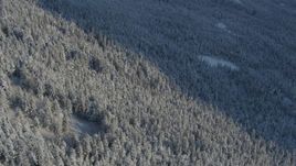 4K aerial stock footage snowy, wooded slopes cut by shadow in Chugach Mountains, Alaska Aerial Stock Footage | AK0001_1758