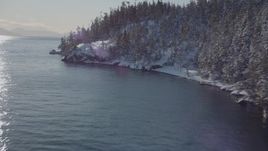 4K aerial stock footage flying along snowy, wooded shore of Port Wells, Alaska Aerial Stock Footage | AK0001_1840