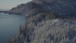 4K aerial stock footage following snowy, wooded shore by Harrison Lagoon, Port Wells, Alaska Aerial Stock Footage | AK0001_1845