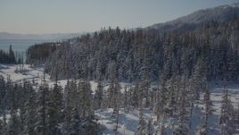 4K aerial stock footage flying over frosty, snowy clearing and trees, Port Wells, Alaska Aerial Stock Footage | AK0001_1857