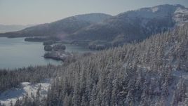 4K aerial stock footage flying over snowy, wooded slopes, revealing Hummer Bay, Port Wells, Alaska Aerial Stock Footage | AK0001_1872
