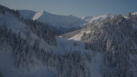 4K aerial stock footage approach snowy ridge spotted with clusters of trees, Chugach Mountains, Alaska Aerial Stock Footage | AK0001_1889