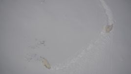 4K aerial stock footage mountain goats trekking in the snow, Chugach Mountains, Alaska Aerial Stock Footage | AK0001_1945