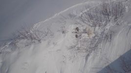 4K aerial  video a mountain goat on a snowy slope in Chugach Mountains, Alaska Aerial Stock Footage | AK0001_1953