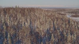 4K aerial stock footage flying over snowy wooded hill in Big Lake Area, Alaska Aerial Stock Footage | AK0001_2051