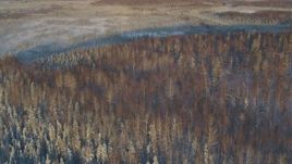4K aerial stock footage fly over snowy forest, frozen ground in Knik-Fairview at sunset, Alaska Aerial Stock Footage | AK0001_2061