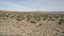 5K aerial stock footage of flying low over desert plants in Antelope Valley, California Aerial Stock Footage | AX0006_002E