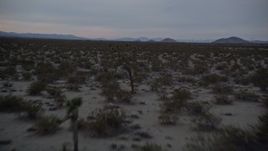 5K aerial stock footage low fly over of desert plants at twilight in Mojave Desert, California Aerial Stock Footage | AX0007_028